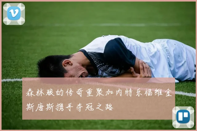 森林狼的传奇重聚加内特乐福维金斯唐斯携手夺冠之路