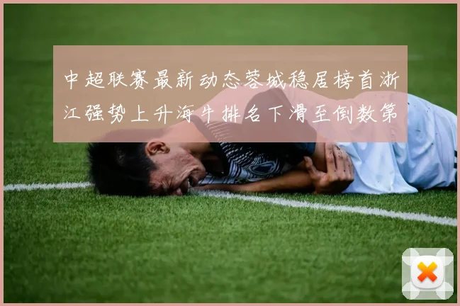 中超联赛最新动态蓉城稳居榜首浙江强势上升海牛排名下滑至倒数第三